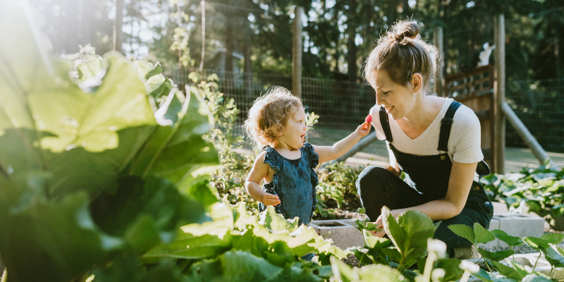 About Castle Exterminators in Durham, North Carolina