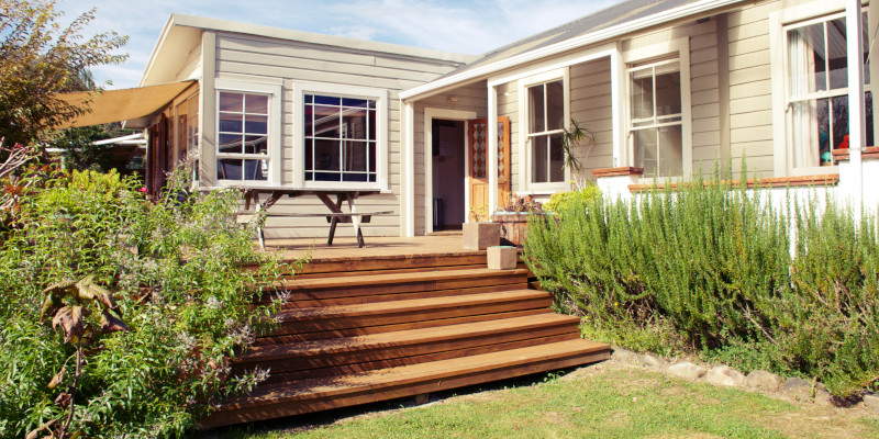 Ant Protection in Durham, North Carolina