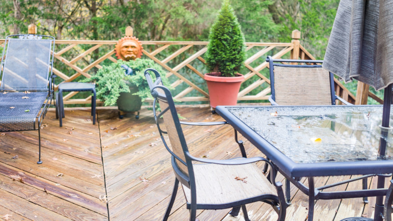 Ant Removal in Durham, North Carolina