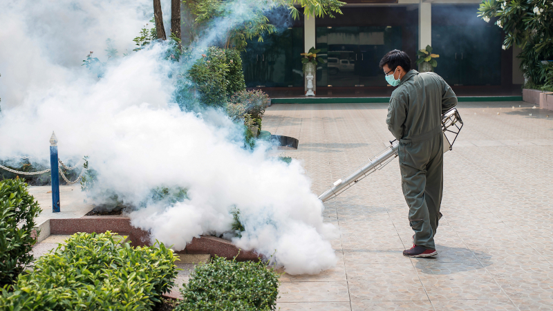 Mosquito Management in Durham, North Carolina