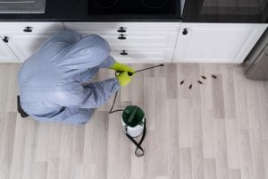 Is Professional Pest Control Worth it?