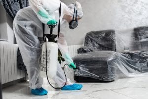 Four Things to Consider When Hiring an Exterminator