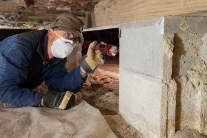 Why Termite Inspections are Important
