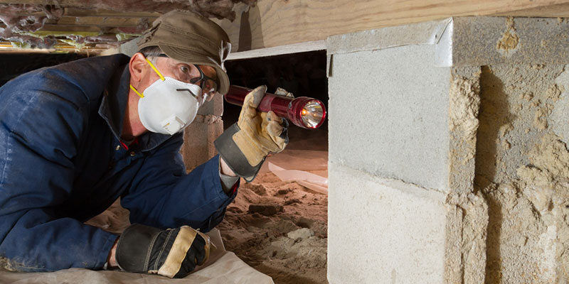 Why Termite Inspections are Important