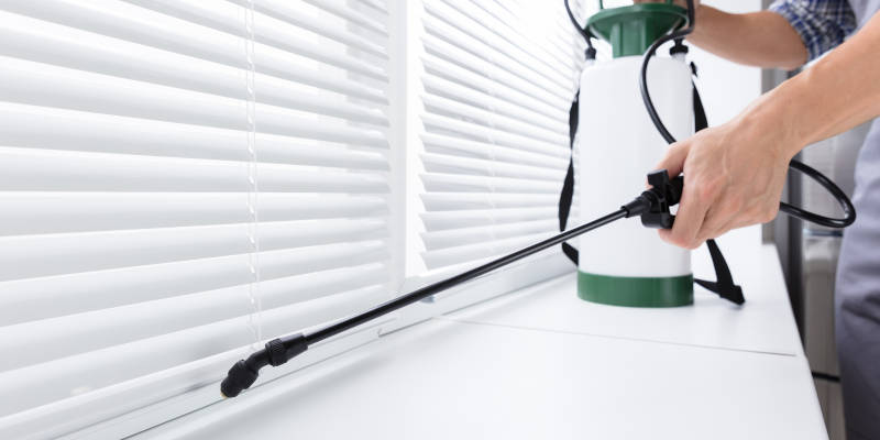 Choosing an Exterminator For Your Pest Control Needs