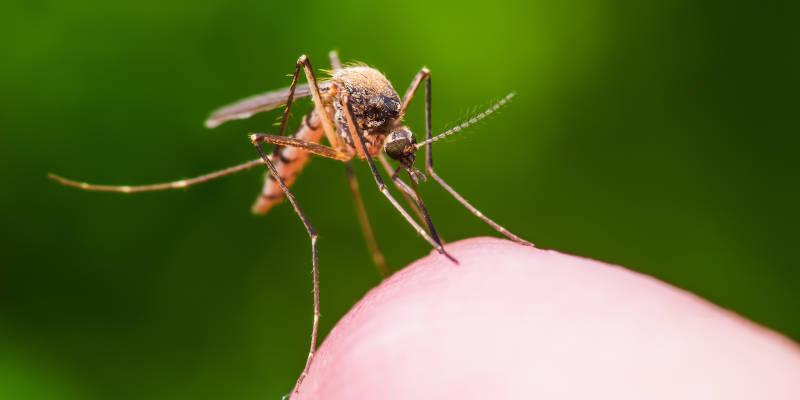 Enjoy Backyard Living Again with In2Care Solutions