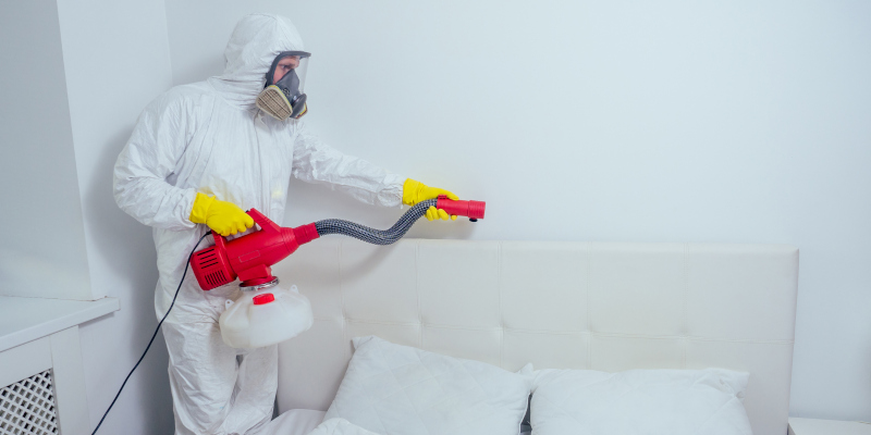 Raleigh, North Carolina