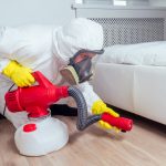 Bed Bug Protection