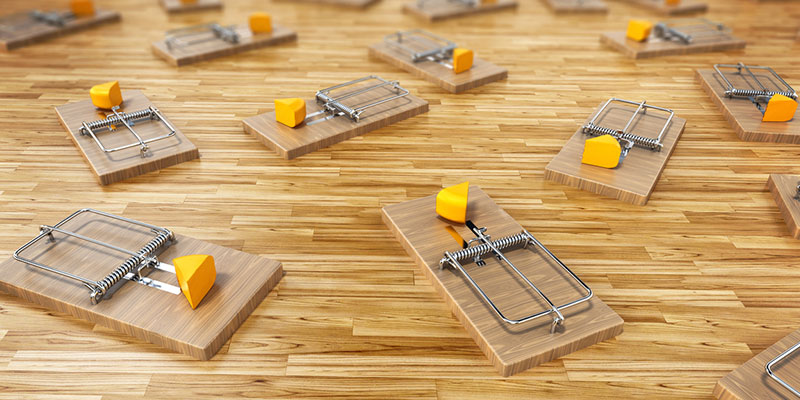 Three Tips for Effective Rat Control