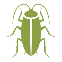 Cockroach