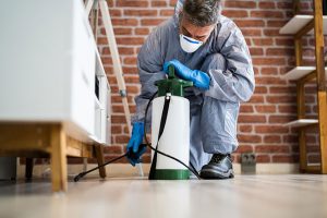 3 Reasons to Hire a Professional Exterminator