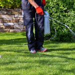 Exterminator Services